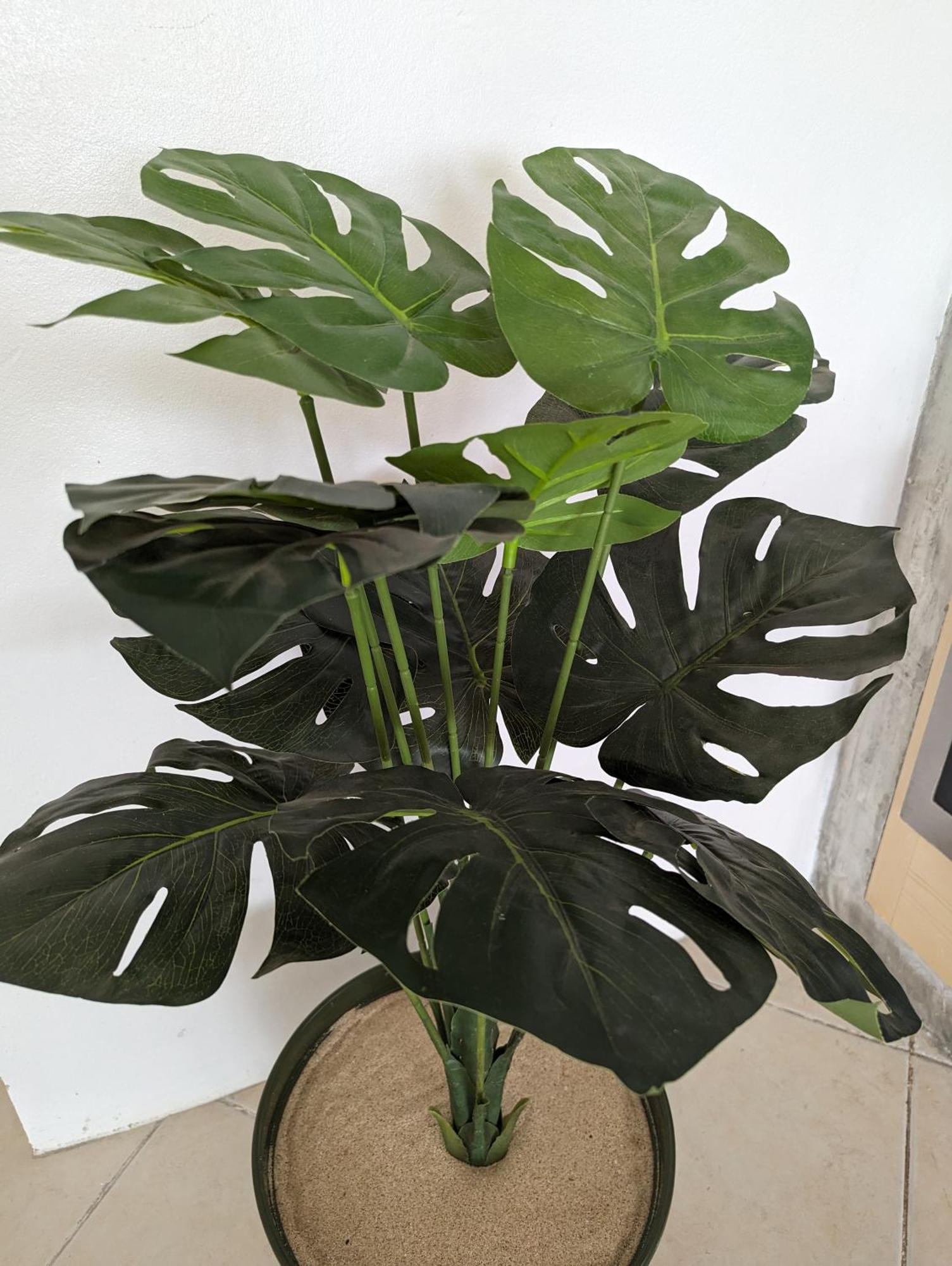 Ferienwohnung Tropical Leaves Sea View Penthouse Ca Greta 2 Floor Sal Rei Exterior foto